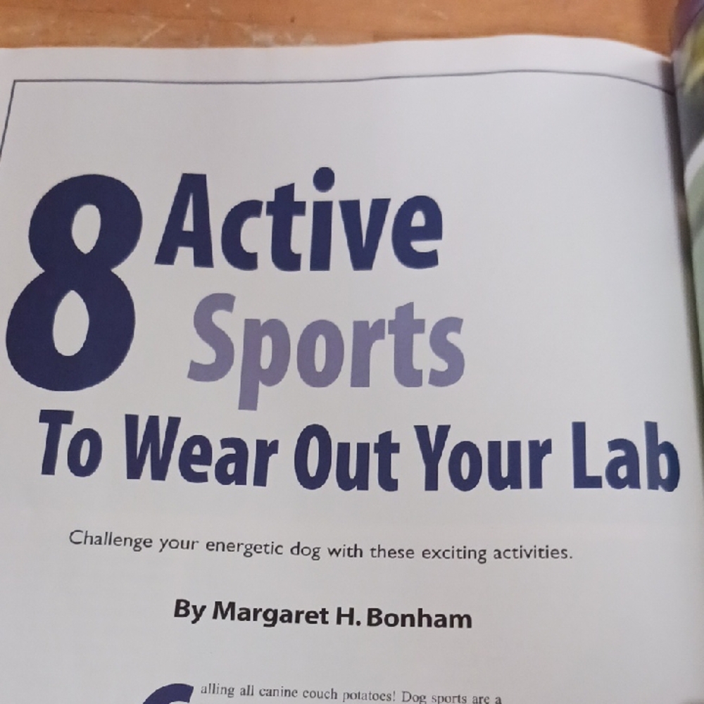 Training Secrets for Labrador Retrievers Magazine - Picture 5 of 7
